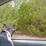 Manns Cove Campground