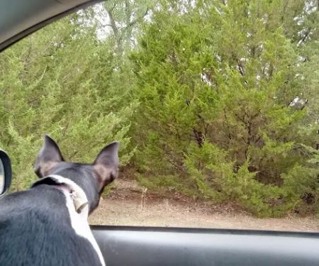 Manns Cove Campground