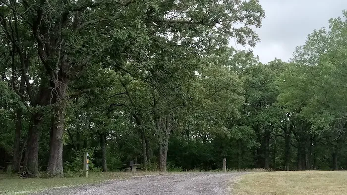 Manns Cove Campground Picture 10