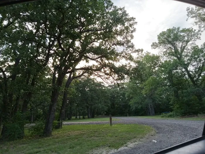 Manns Cove Campground Picture 7