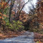 Woodson Cove Campground