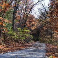 Woodson Cove Campground ico