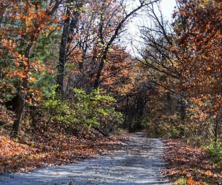 Woodson Cove Campground