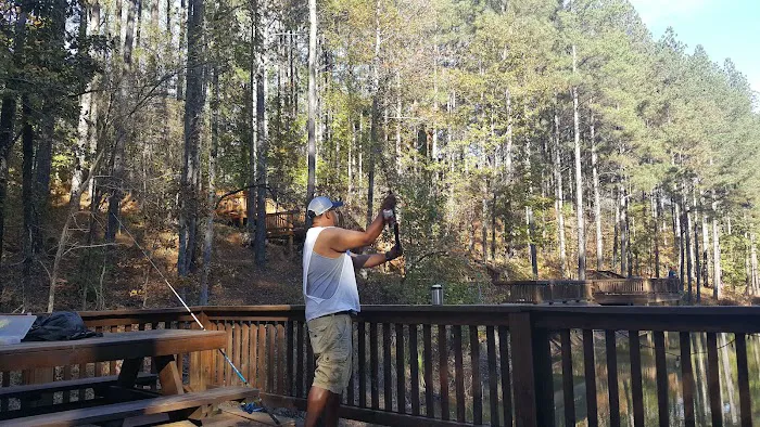Hilltop Lovers Den Cabin Picture 8