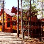 Hilltop Bee Hives Cabin