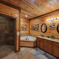 Driftwood Cabin ico