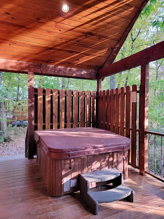 Driftwood Cabin Picture 4