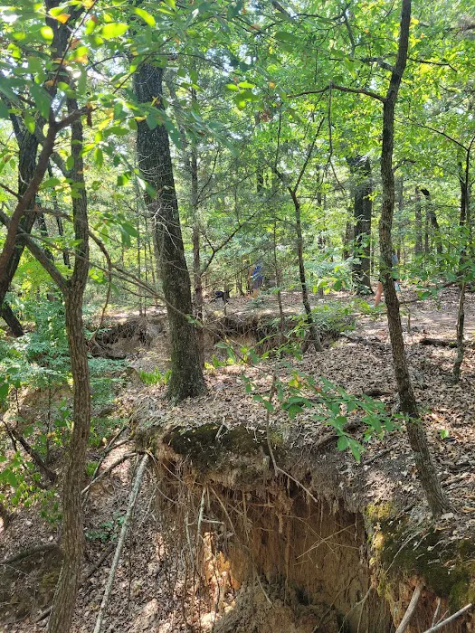 Buncombe Creek Campground Picture 8