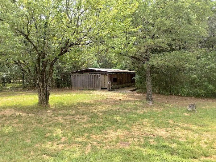 Hanta Pa Ha Campsite Picture 5