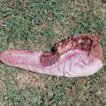 Camp Bond Oklahoma District Church of the Nazarene