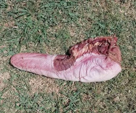 Camp Bond Oklahoma District Church of the Nazarene