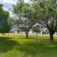 East Fork Park ico