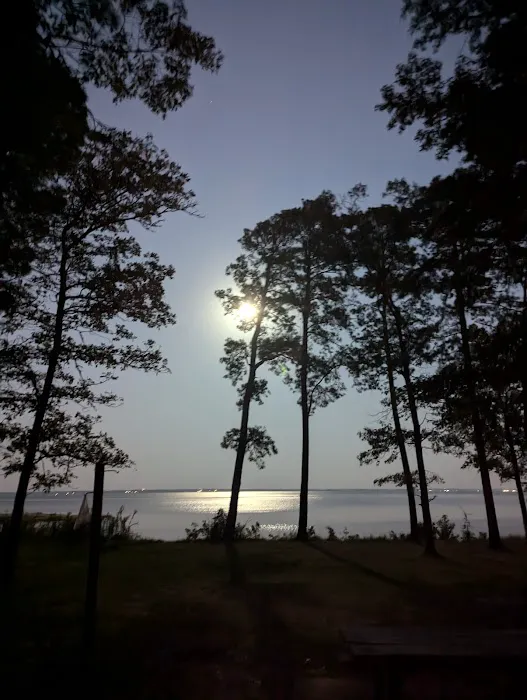 Indian Mounds Campground - Sabine National Forest Picture 1