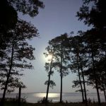 Indian Mounds Campground - Sabine National Forest