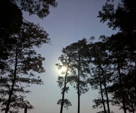 Indian Mounds Campground - Sabine National Forest