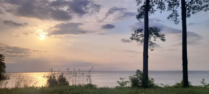 Indian Mounds Campground - Sabine National Forest Picture 4