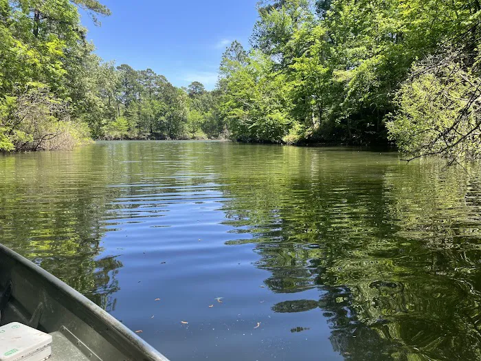 Indian Mounds Campground - Sabine National Forest Picture 9