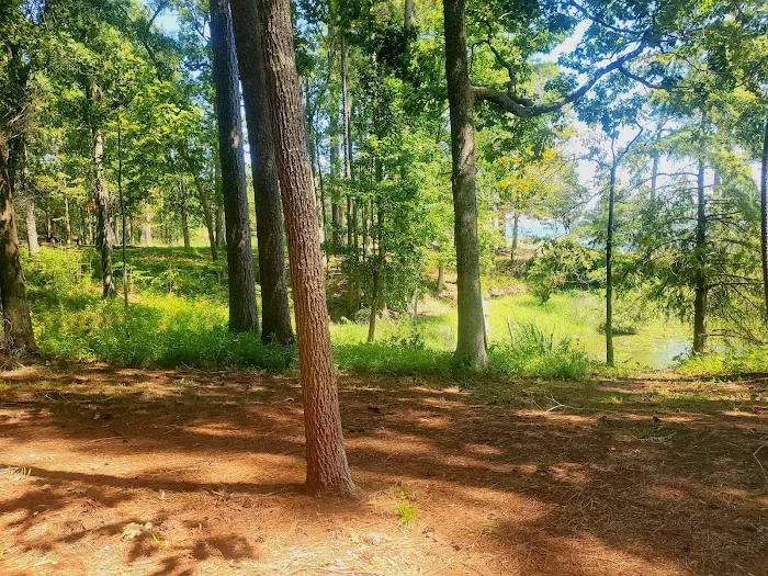 Indian Mounds Campground - Sabine National Forest Picture 10