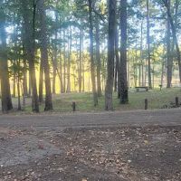 Red Hill Lake Campground - Sabine National Forest ico