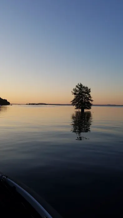 Beans VIP Campground Picture 1