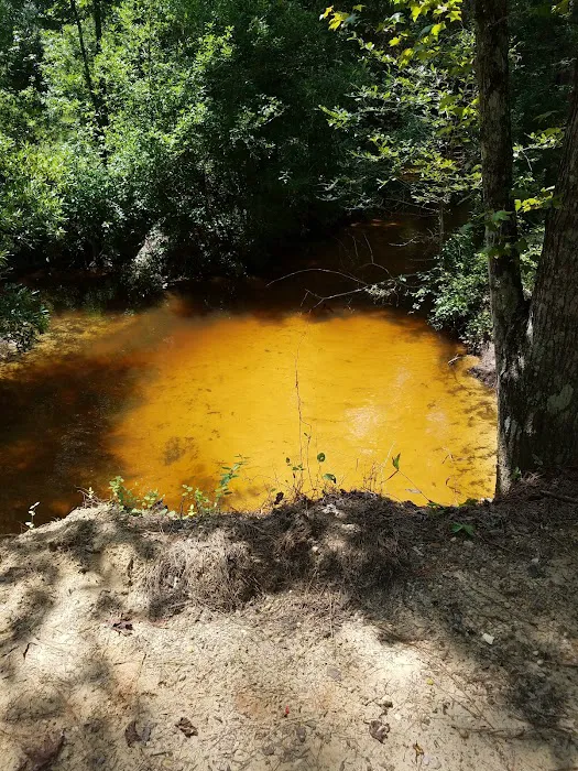 Beef Trail Campground Picture 4