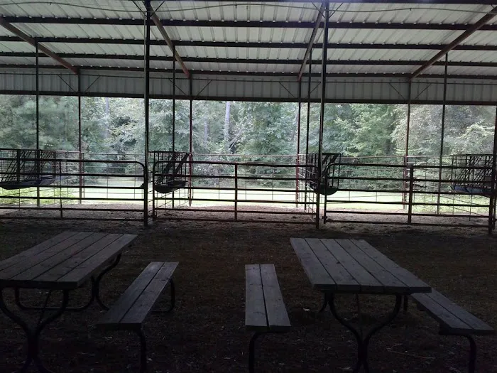 Brookeland / Lake Sam Rayburn KOA Holiday Picture 4