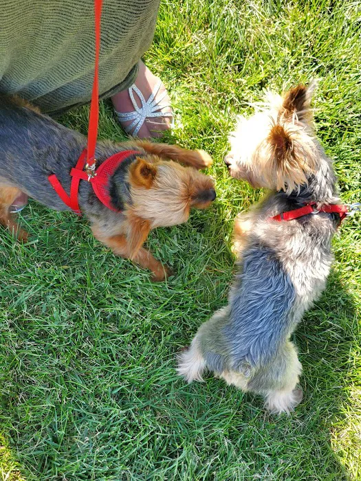 Cooperstown City Park Camp Ground Picture 3