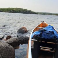 BWCA Campsite #443 ico
