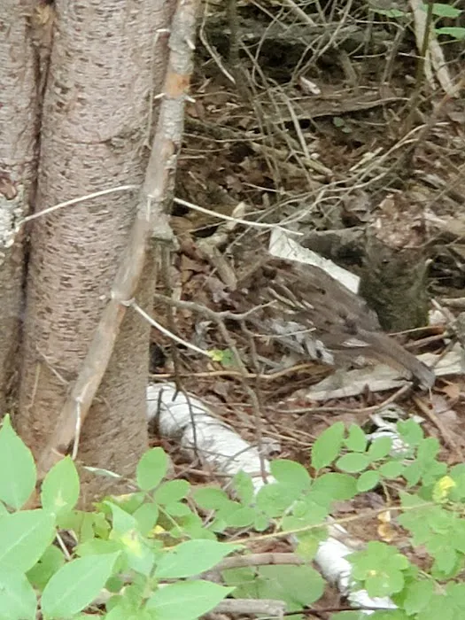 Trails End Campground Picture 4