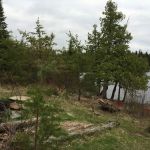 Superior National Forest Campsite #553