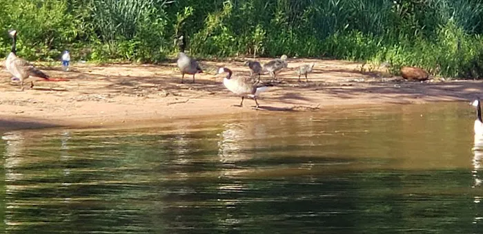 Hog Creek Campground Picture 5