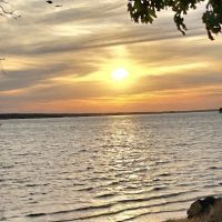 Critter Alley Campground ico