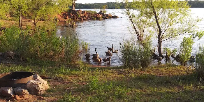 Critter Alley Campground Picture 9
