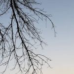 Turkey Point Park Campground