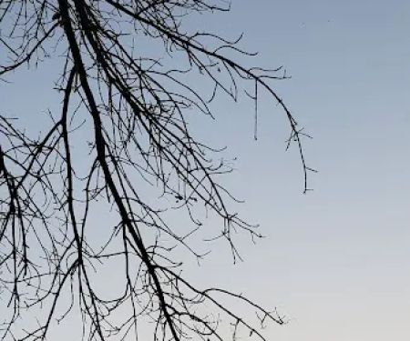 Turkey Point Park Campground