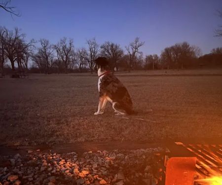 Quarry Bay Campground