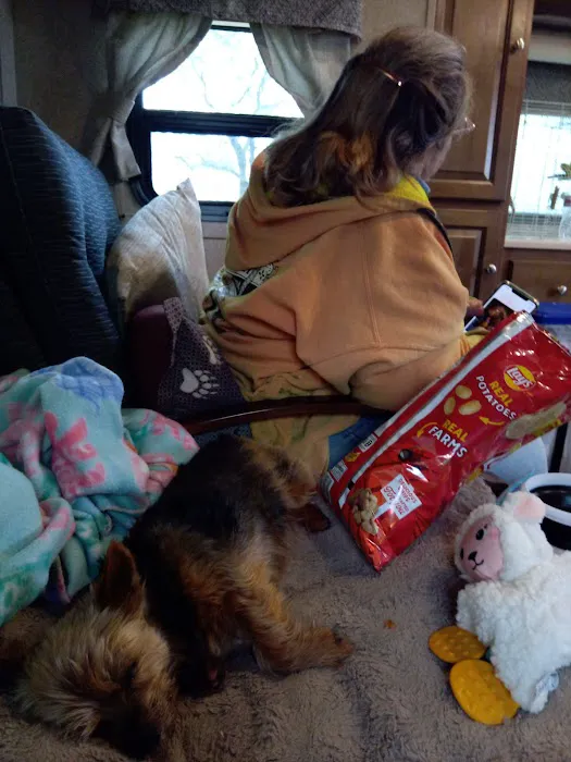 Casner Creek Campground Picture 7