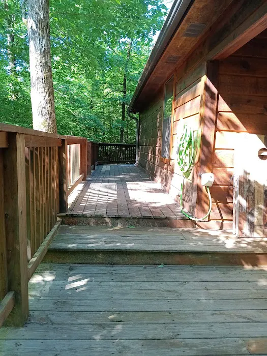 Dewy Bluff's Cabin Picture 4