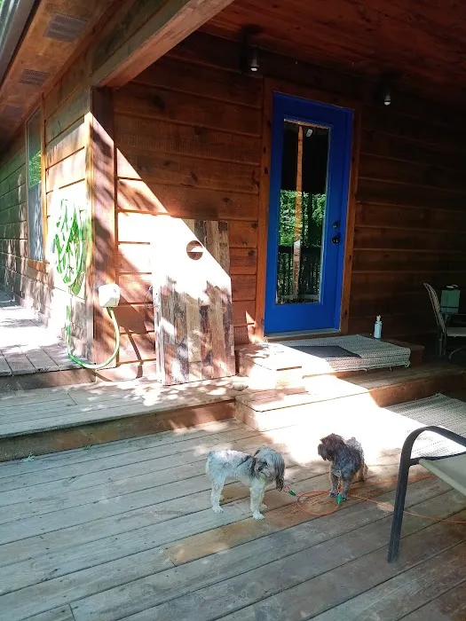 Dewy Bluff's Cabin Picture 3