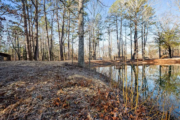 Cottage on the Pond Picture 3