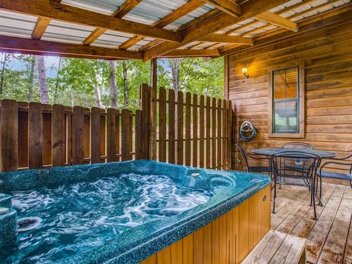 Walnut Ridge Cabin Picture 4
