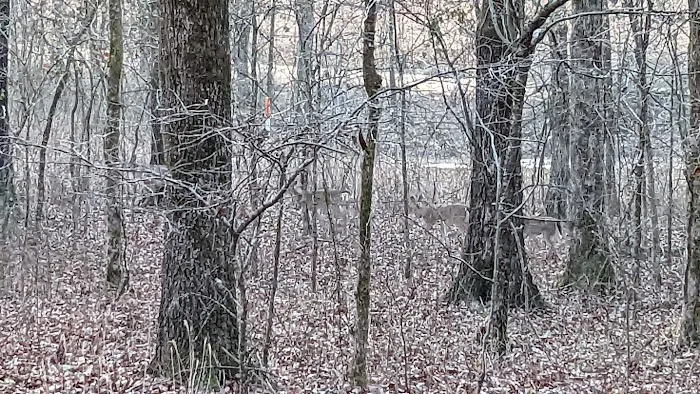 Walnut Ridge Cabin Picture 9