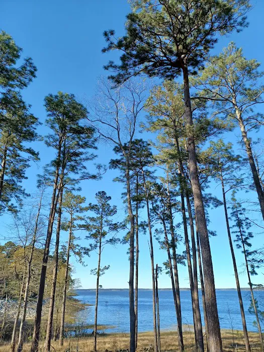 Westwood RV Park Picture 4