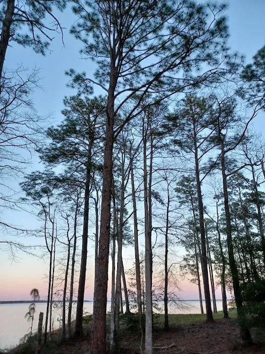 Westwood RV Park Picture 3