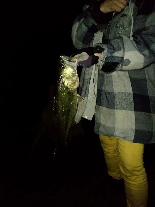 Reel Em in Cabins Picture 3