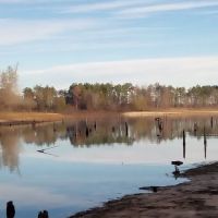 Reel Em in Cabins ico
