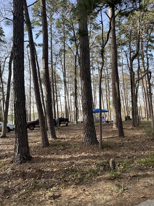 Caney Creek Recreation Area - Angelina National Forest Picture 7