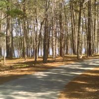 Caney Creek Recreation Area - Angelina National Forest ico