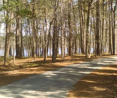 Caney Creek Recreation Area - Angelina National Forest