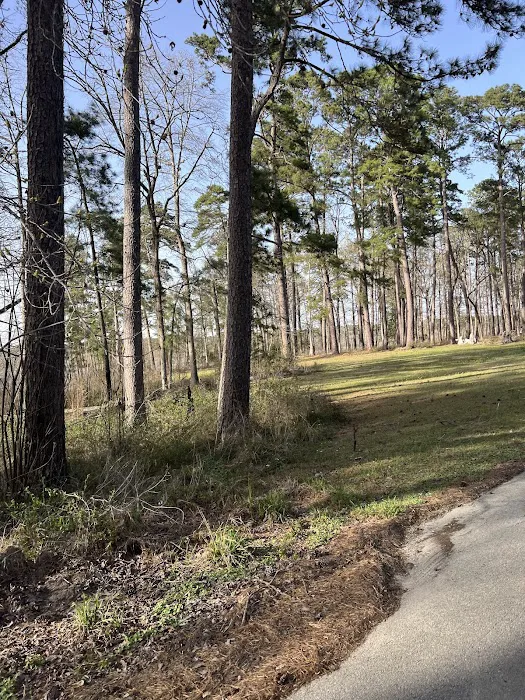Caney Creek Recreation Area - Angelina National Forest Picture 10